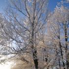 Winter im Erzgebirge